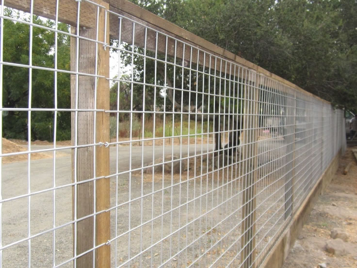 Hog Panel Fence